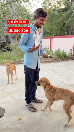 बच्चो का प्यार | Dog ka Favourit | Food | Pet Vlog in Hindi | shorts | Ranchhod vlog