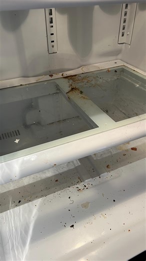 12K views · 1.6K reactions | Fridge cleaning - one of the least favourite chores for more people - how often do you clean yours? #cleaning #fridgeclean #kitchen #satisfying #beforeandafter #housekeeper #clorox #dawn #clean #tidyup #springcleaning #yyj #victoriabc #tgif #easter #havk #motivation #cleaningtip | Takes a Village Cleaning | Facebook