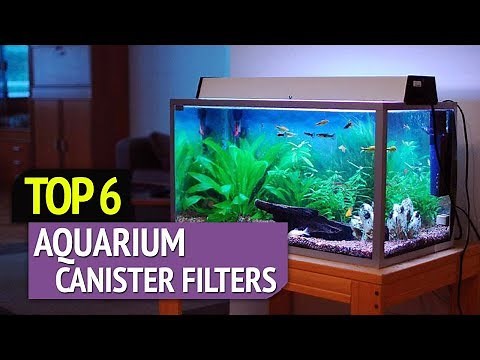 TOP 6: Best Aquarium Canister Filters