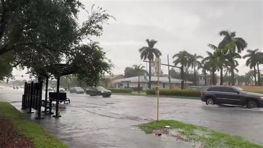 Severe thunderstorms bring heavy rains, flooding to Miami