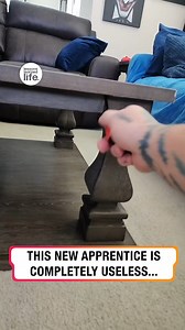 412K views · 1.7K reactions | The new apprentice is useless  dapuppers | Lessons Learned In Life | Facebook