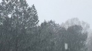 13K views · 73 reactions | The rain is really coming down here at 16 WAPT. What's the weather like where you are? | 16 WAPT News | Facebook