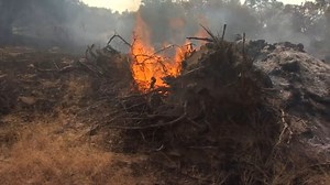 Ferguson Fire moves into Yosemite, jumps Highway 41