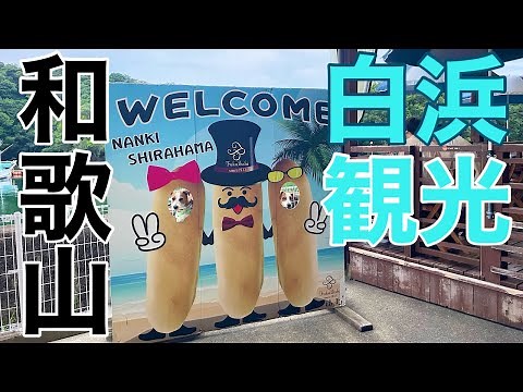 [Shirahama Tourism] Introducing recommended spots to visit with your dog