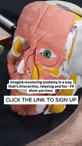 3.4K views · 21 reactions | Remembering anatomy is impossible… WRONG!...