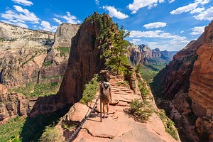 10 Breathtaking Views in the Great Outdoors