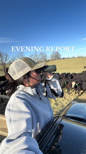 Evening Report: Insights on Beef Agriculture Practices
