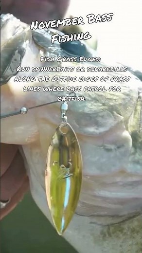 November Bass Fishing Tips #24