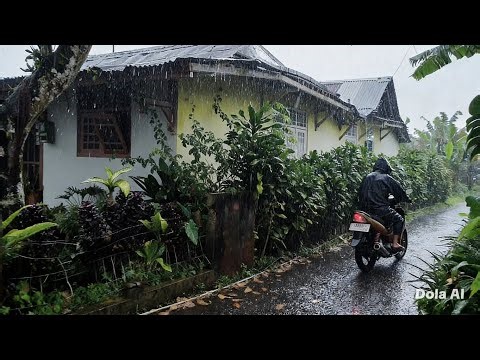 Walking in the Rain • Quiet Village Path in Java • Rain Sounds for Sleep & Relax