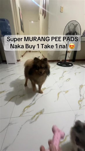 Effective Dog Pee Pad Training Techniques