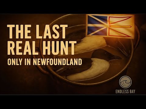 This Hunt Only Happens in Newfoundland – You’ve Never Seen Anything Like It