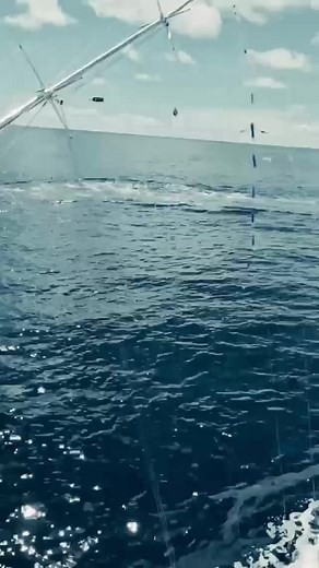 117K views · 702 reactions | Live look at the action going on in Costa Rica FAD’s, gotta love chasing a fish in forward while she jumps off of the side of the boat! . Captain rocking our collaboration hooded long sleeve with @ringerswivels ✊ | Billfish | Facebook