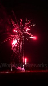 16 shots Red Coco Xette #fireworks #feuerwerk