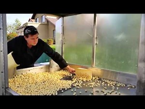 For Sale KettleCorn Trailer $10,235