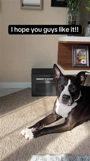 Custom Mini NAS Build for DIY Tech Enthusiasts