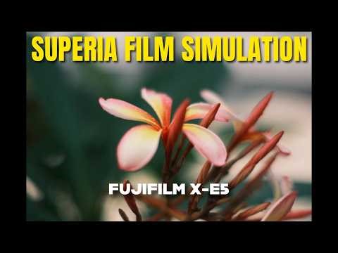 Awesome Superia Film Simulation for Fujifilm