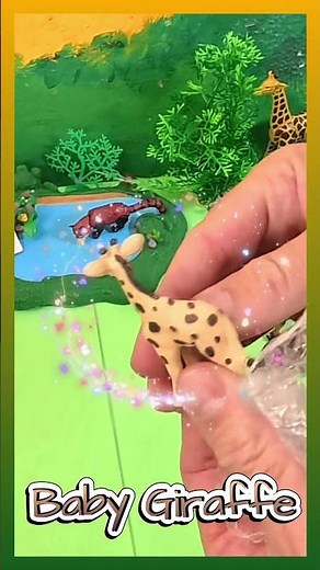 🦒 Born a Giant: Newborn Giraffe is Already Six Feet Tall and Running in Minutes! (Survival Fact)