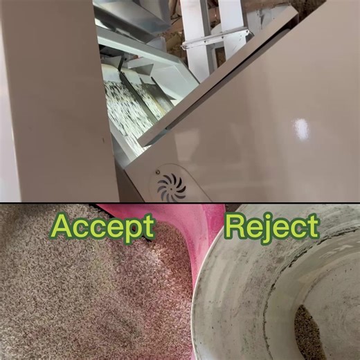 Smart Rice Color Sorter - High-Precision Optical Machine for Pure, Defect-Free Rice