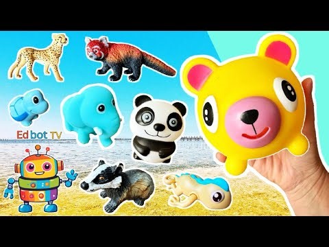 Learn at the Lagoon | Animal Names for Kids: Chameleon Mouse Cheetah Badger Giraffe