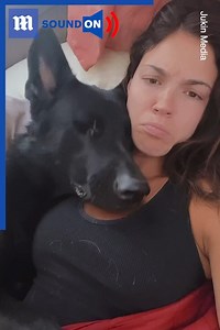 602K views · 10K reactions | This dog is addicted to cuddles 殺❤️ via Jukin Media | Daily Mail Video | Facebook