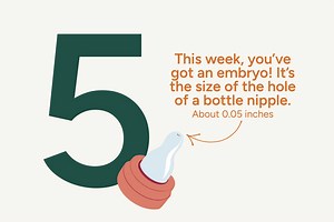 Week 5 of Your Pregnancy