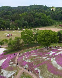 After spring flowers at Agyang Ecological Park 📍1418 Seochon-ri, Daesan-myeon, Haman-gun, Gyeongsangnam-do, South Korea. | Jj Lee