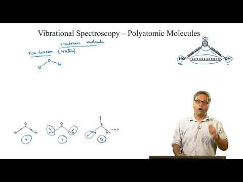 Vibration of Polyatomic Molecules I