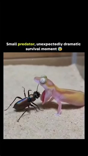 Stefanie Haderlein ❤️ | The post shares an AI-generated animation of a translucent gecko swallowing a shiny beetle whole, then struggling inside a purple bubble... | Instagram
