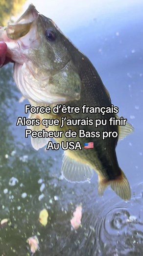#blackbass #blackbassfrance #fishOn
