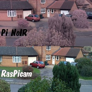 PiNoIR – what’s it for? Comparison of RasPiCam and Pi NoIR Output in Daylight #piday #raspberrypi @Raspberry_Pi