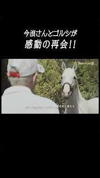 [An emotional reunion😭] #Gold Ship 🐴 × #Imanami Stablehand #shorts