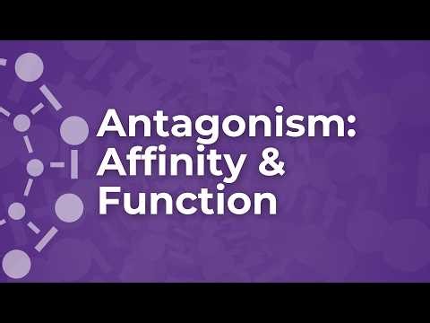 Navigating GPCR Affinity & Antagonist Blockade: Insights on Binding & Functional | #GPCRMasterclass