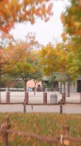 This is what the Zoo looks like as it wakes up for the day ⛅️😌 | Fort Worth Zoo