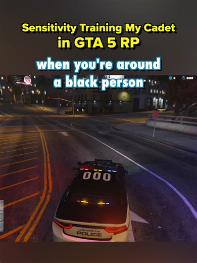 maybe we ALL could use some sensitivity training... #gta5rp @thessstutterboy