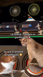 1.1M views · 15K reactions | Un pequeño error  | Audio db Drive | Facebook