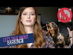 Let's Talk About Barking! | Miniature Dachshund UK