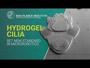 3D-printed low-voltage-driven ciliary hydrogel microactuators