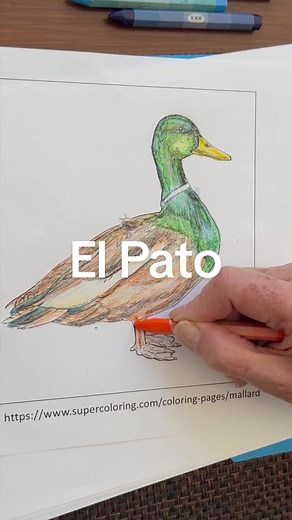 Tutorial de Coloreado de un Pato Azul y Verde
