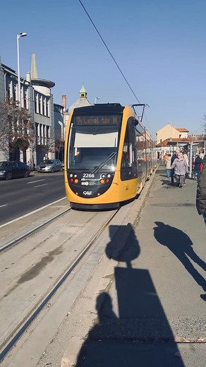 🚋 A napokban lett 70 éves a 14-es villamos! Nem mindig így hívták – valaha 91-es volt, és akkor még messze nem járt Káposztásmegyerig. 1955-ben kapta meg a ma ismert számát, majd az új lakótelepek épülésével együtt nőtt: végül elérte Káposztásmegyer, Megyeri utat, és ezzel Észak-Pest egyik legfontosabb vonala lett. Azóta sok minden változott, de a 14-es maradt, ahogy mindig is volt: egy villamos, ami nélkül nehéz elképzelni a várost. 💜 #újpest #budapest #14esvillamos #káposztásmegyer | Déri 