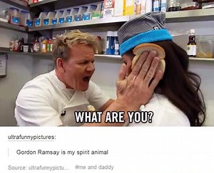 26K views · 196 reactions | This might be the funniest thing ever... | Epic Videos | Facebook