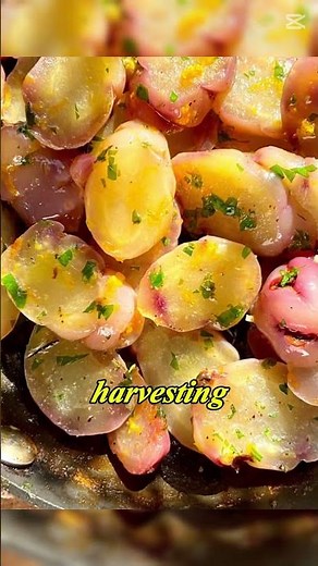 How to Grow Oca at Home