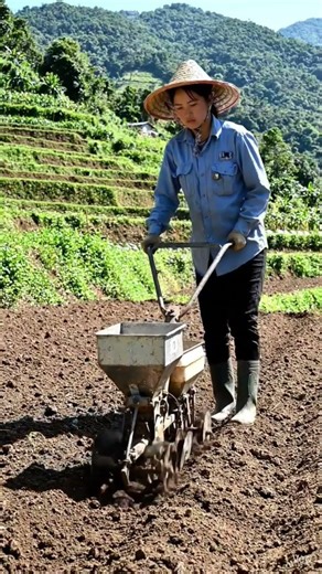 Seed Sowing Machine (Beej bone ki machine) #machine #seeds #japan