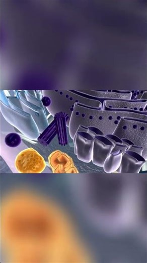 Solve Physics Problems: Visual Diagrams Explained!