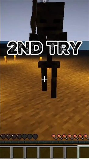 Can You Beat a Wither Skeleton with BARE HANDS? 💀