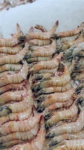 Big day for shrimp lovers. 🍤 Happy Shrimp Day!