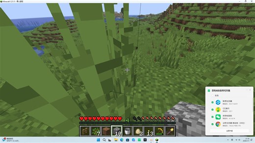 我的世界java1.21.11原版生存