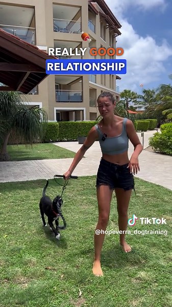 The flirt pole has proven to be the most handy and quick form of exercise to tire out my dogs quickly and right in my yard. This game works all of their natural instincts, body and brain. I can't name a dog l've worked with that doesn't like it! Anytime l'm on my way out the door, l'll give my dog a quick flirt pole session to make sure my dog is tired and happy to set us up for success. Whether the dog is being left in the crate, joining my for a social excursion or coming for a long car ride, 