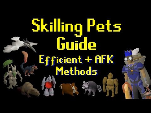Skilling Pets Guide (Efficient + Afk Methods) OSRS