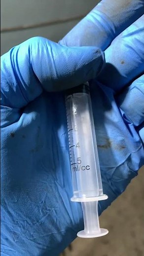 how to flush gasoline injectors at home