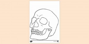 Skull Colouring Sheet